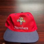 Panthers Snapback